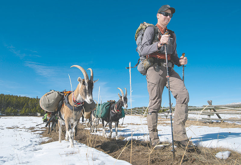 A different kind of pack animal | Powell Tribune